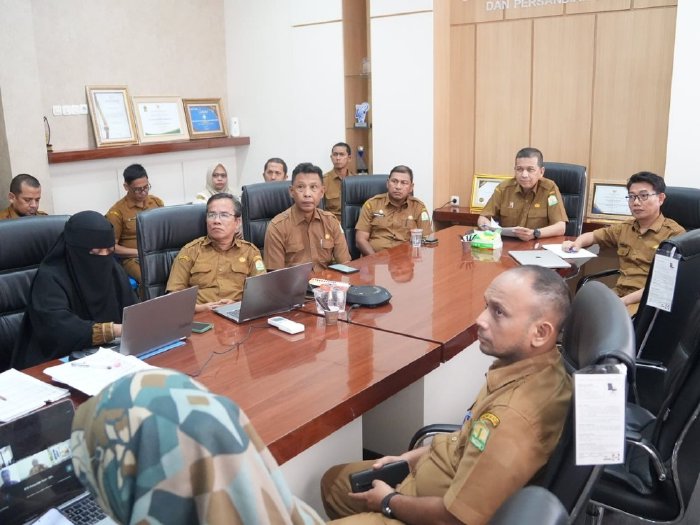 Diskominsa Aceh Ikuti Penilaian Interviu Evaluasi SPBE 2024 bersama Kemenpan RB